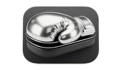 Silver Boxing Glove Icon