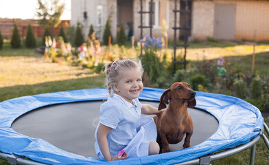 a three year old smiling girl playing with dachshund dog on trampoline in green sunny summer park