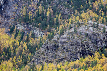 View of landscape furi mountain in autumn season from cable car in zermatt, swiss