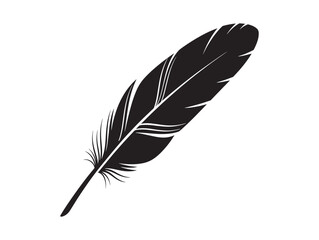 Obraz premium A black feather with white accents on a plain white background