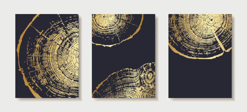 Set of wooden texture templates with gold tree ring patterns. Premium backgrounds with wood grain and elegant circular growth design Vertical banner with tree ring pattern Vector stamp of wood texture