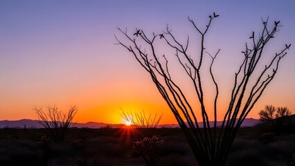 Naklejka premium Desert sunset landscape with cactus silhouettes and orange sky. Nature travel and outdoor adventure scenery. Saguaro and desert plants standing against a vibrant twilight horizon.