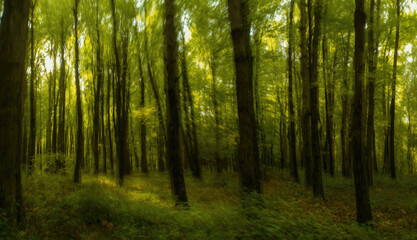 Fototapeta premium Ethereal Forest Landscape Featuring Blurred Vertical Motion, Vibrant Green Canopy, Leaning Tall Trees, Serene Lush Ground and Calm Atmosphere