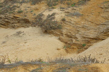 cliff in the wild, closeup of photo, north china