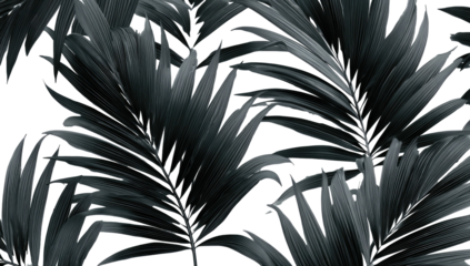 Close-up of lush, stylized foliage against a black background, with repeating natural elements