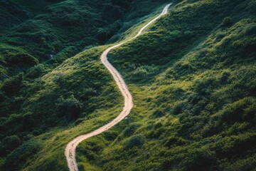Winding trail path aerial view