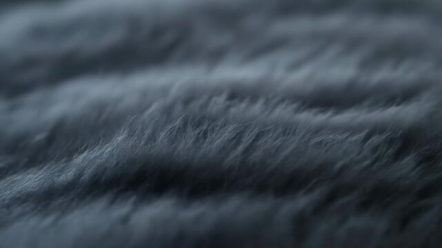 Gentle movement of dark fur captured in closeup in high definition