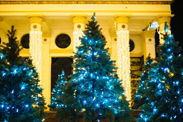 Festive evergreen trees with blue glowing lights, a building adorned with warm illumination at night.