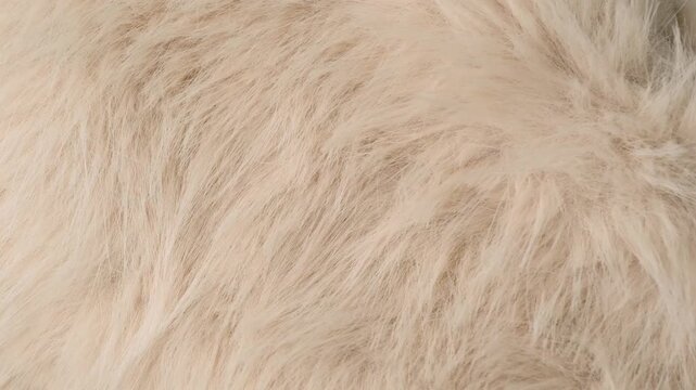 Detailed soft warm light beige fluffy textile faux fur abstract background material texture