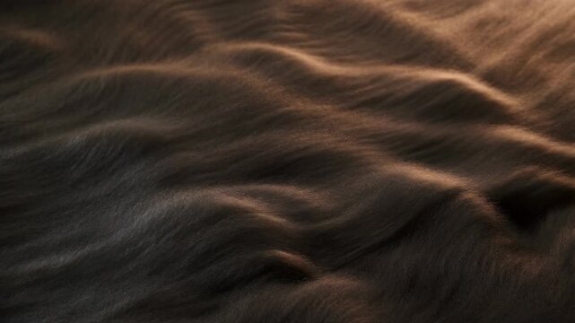 Wavy sand patterns shift gently in golden light creating relaxing texture