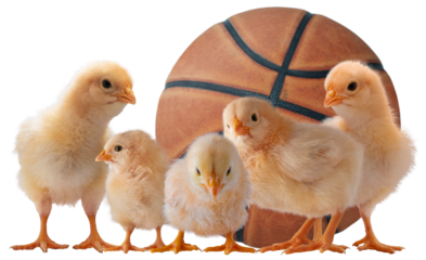 Basketball championship lineup that is very short