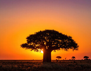 Sunset silhouette of a baobab tree in the serengeti nature photography tranquil african landscape