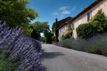Charming streets lined with lavender fields.