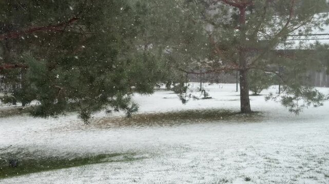 Heavy Snowfall Over a Residential Backyard and Wooden Deck