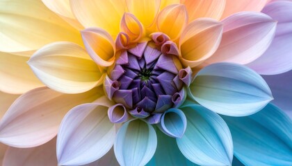 Obraz premium Dahlia flower with rainbow