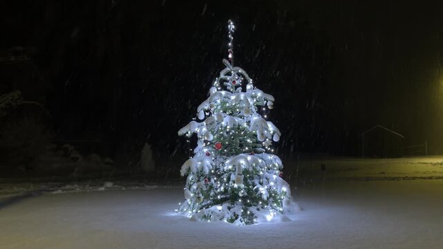 Decorated Christmas Tree Outdoors in Night Snowfall