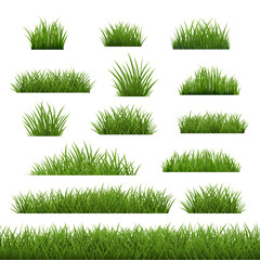 Big Set Green Grass Isolated White Background