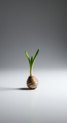 Stark minimalist composition featuring a single dormant plant bulb on a vast, sterile white background, representing unfulfilled potential, promise, simple, future
