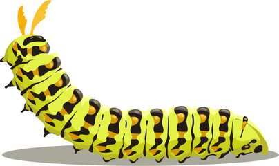 Cartoon papilio machaon caterpillar