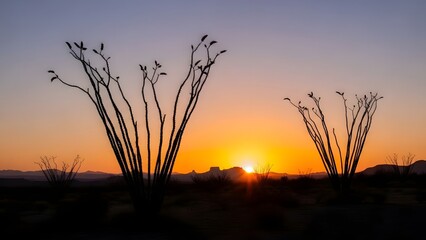 Fototapeta premium Silhouette of desert plants against a vibrant sunset sky. Arizona landscape and wild nature travel concept. Tall cactus and dry shrubs standing in the arid sand at dusk in the wilderness