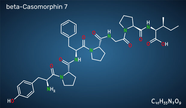 Beta-casomorphin-7, BCM7 opioid peptide molecule. Milk-derived casein peptide with potential physiological effects. Skeletal chemical formula. Dark blue background. Vector illustration