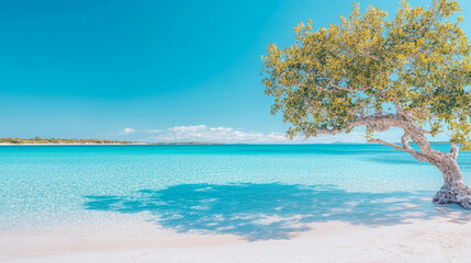 Idyllic tropical paradise featuring gracefully leaning tree with lush green leaves on pristine white sand beach, overlooking crystal clear turquoise ocean waters under vibrant blue sky