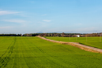 Fototapeta premium Narrow country road among green fields
