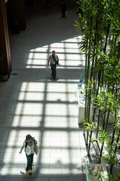 View of sunlight casting a grid pattern across the floor where people walk, next to tall bamboo stalks, creating a striking contrast of light and shadow, Tokyo, Tokyo, Japan.
