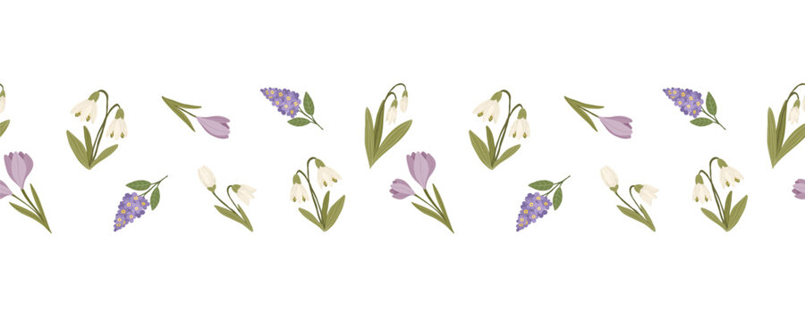 Purple crocus, blue muscari and white snowdrops with leaves, hand drawn botanical floral vector seamless border with scattered flowers