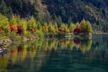 autumn colorful forest reflections at Longwang Lake in Bipenggou, Sichuan, China