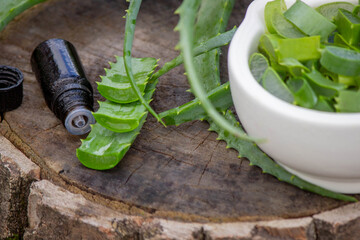 Essential oil bottle and fresh aloe vera leaves. Natural organic cosmetics