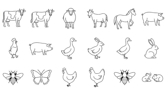 Conjunto de iconos de l&iacute;nea de animales de granja.
 Pictogramas vectoriales de ganso dom&eacute;stico, pavo, pollito, patito, pato, oveja, caballo, cerdo, burro, buey, ilustraci&oacute;n lineal delgada.