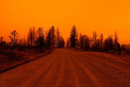 A dirt road in Lassen County, California, under an orange smoke-filled sky during the Dixie Fire, surrounded by scorched trees and barren landscape.