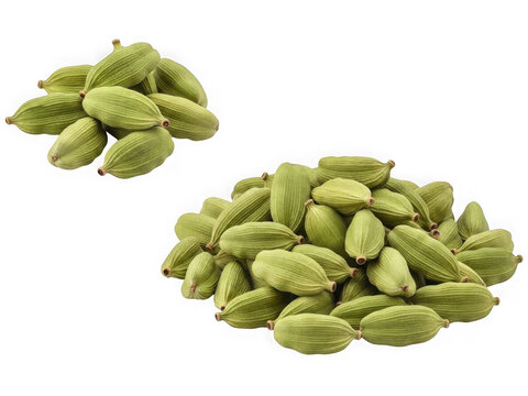 A collection of green cardamom pods displayed on a white background