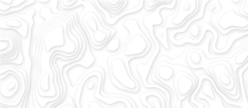 White abstract topography layered paper cut background. Minimal white 3d paper cut contour map design. Paper cut landscape contour texture. Seamless wavy lines pattern.