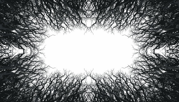 Symmetrical black and white abstract image of tangled tree branches forming an organic frame around a bright central void.