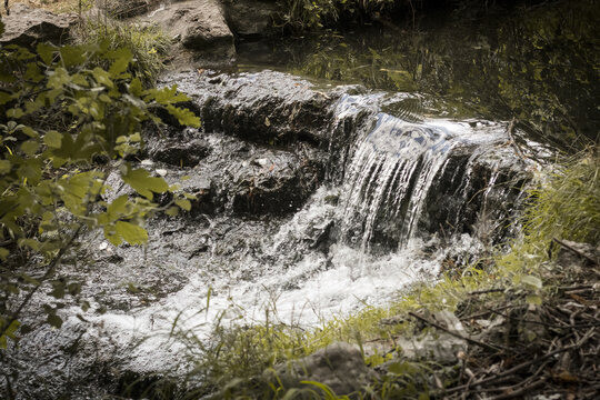 View of a gentle cascade tumbles over dark rocks, framed by vibrant green foliage and sun-dappled grass, creating a serene and peaceful scene, Paris, &Atilde;Žle-de-France, France.