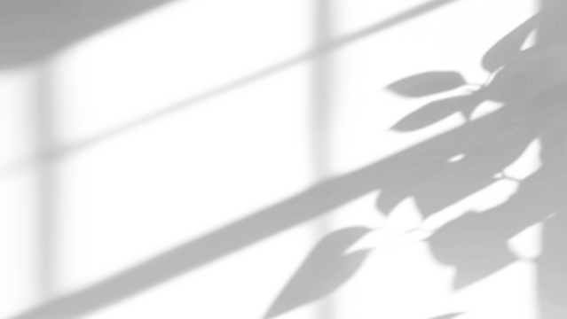 branches and windows shadow on white wall,shadow overlay effects of realistic abstract natural tree leaves shadow on wall background,Summer sunlight and shadow overlay effect,branches and tree shadow - Powered by Adobe