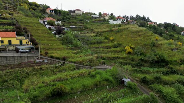 Camacha town, Madeira Island, Portugal