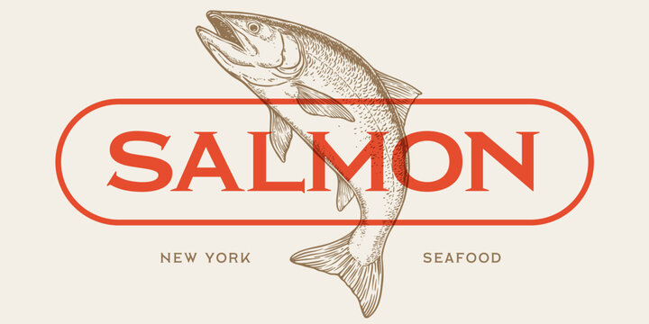 Salmon fish seafood, label. Vintage retro print, seafood salmon fish sketch, logo sign tag label template, pencil style drawing, engrave old school. Hand drawn sketch salmon fish. Vector Illustration