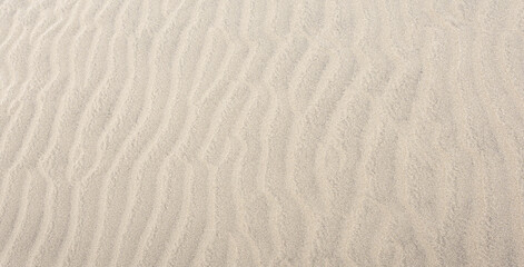 Obraz premium Sand ripples forming natural textured pattern background