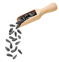 Sunflower seeds falling from a wooden scoop on a white background. Isolated