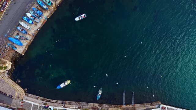 Boats are lined up at a dock while some are drifting in the water. Seagulls can be seen flying above as the shore remains rocky and the sun shines down.