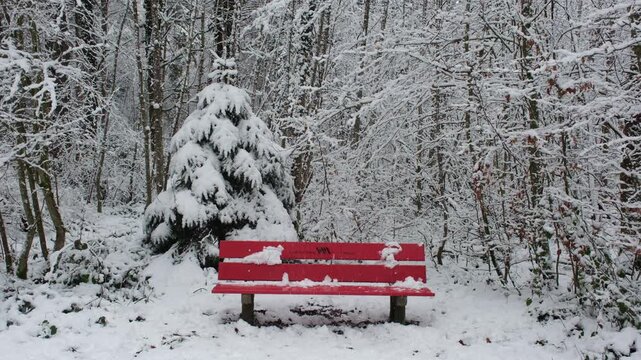 Eine freie Rote Sitzbank in einem Verschneiten Schneebedeckten Waldgebiet in der Stadt Winterthur im Winter