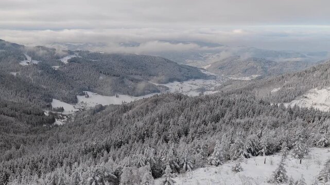Winter im Nordschwarzwald - Luftaufnahme bei Schnee