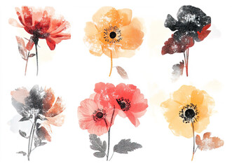 set of six watercolor floral designs feature various colors and styles of flowers arranged in two rows. Each flower displays unique shapes and textures against simple backdrop