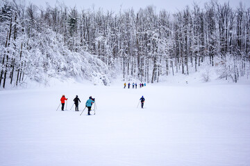 Multiple skiers practice on a wide groomed snowfield at a nordic ski resort, with groups spread across an open area bordered by winter trees.