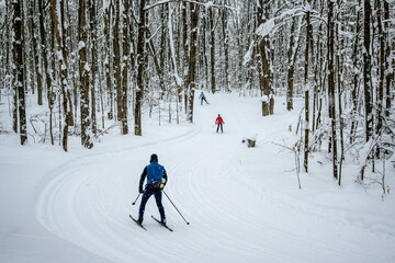 Skate skiers move along a winding groomed trail through a snow-covered forest, using poles and skis on a maintained nordic ski route in winter.
