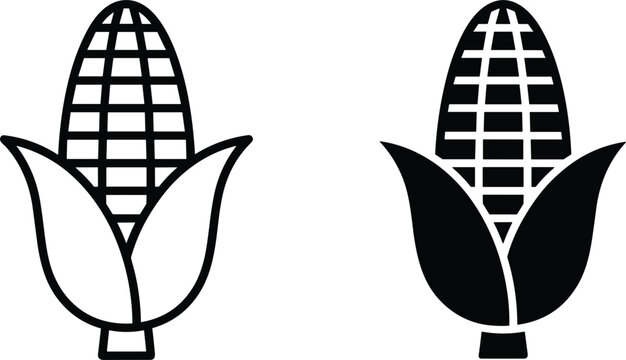 Fresh corn on the cob icons with leaves representing organic farming agriculture healthy sweetcorn vegetable and autumn harvest.