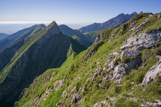 View of sharp mountain peaks rise dramatically against the sky, their slopes covered in vibrant green grass contrasting with the rugged gray rock formations, Belianske Tatry, Presov Region, Slovakia.